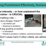 Facts About Punishment 11
