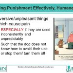 Facts About Punishment 13